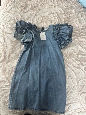Lola & the boys Denim Ruffle Sleeve Dress